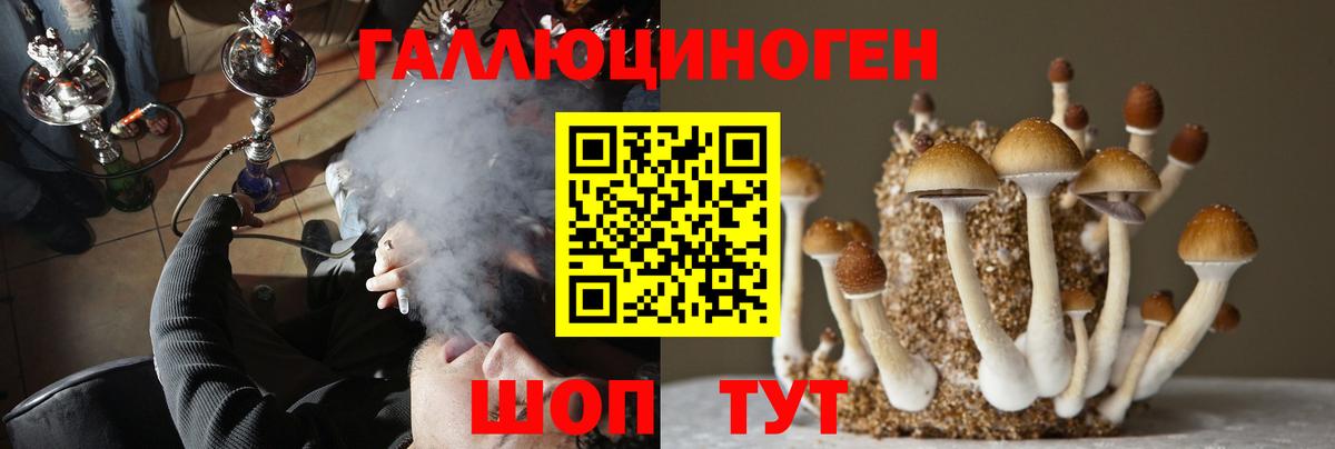 Галлюциногенные грибы мицелий Архангельск